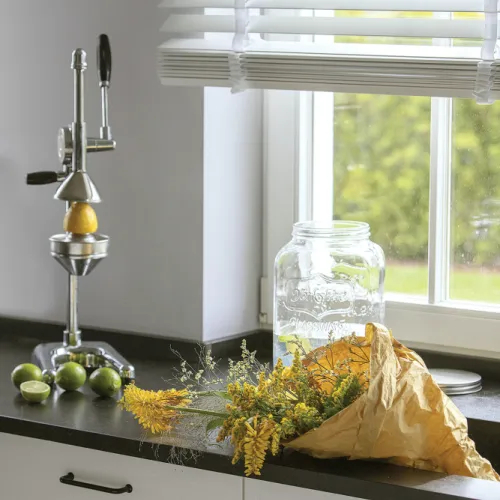 akcesoria kuchenne wyciskarka do cytrusów