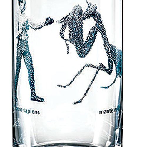 Aleksandra: oglądam wiele wystaw, albumów o sztuce, zgłębiam świat roślin i zwierząt.