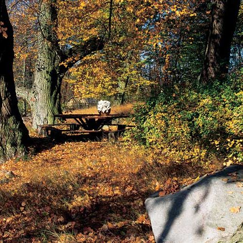 Andrzej Wajda nakręcił tu Panny z Wilka , a Magdalena Łazarkiewicz - Białe małżeństwo .