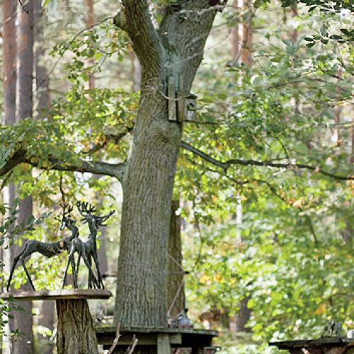 Anna Dębska rzeźbi zwierzęta. Jej drewniany dom stoi w lesie, a pomiędzy drzewami stoi mnóstwo rzeźb.