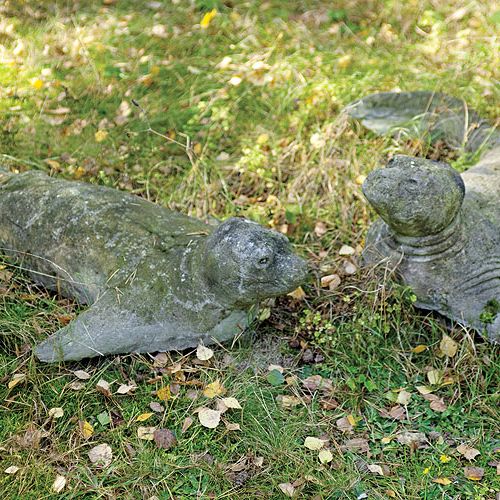 Anna Dębska rzeźbi zwierzęta. Jej drewniany dom stoi w lesie, a pomiędzy drzewami stoi mnóstwo rzeźb.