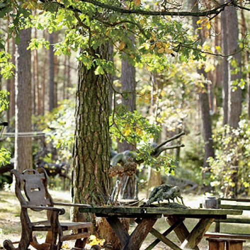 Anna Dębska rzeźbi zwierzęta. Jej drewniany dom stoi w lesie, a pomiędzy drzewami stoi mnóstwo rzeźb.