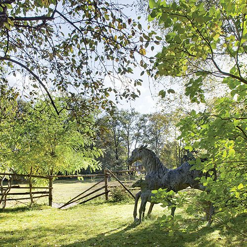 Anna Dębska rzeźbi zwierzęta. Jej drewniany dom stoi w lesie, a pomiędzy drzewami stoi mnóstwo rzeźb.