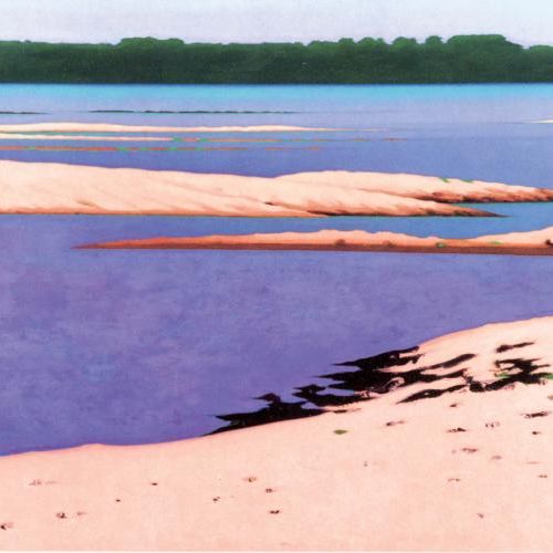 Antoni Starowieyski 497 , 2008-2009 r.