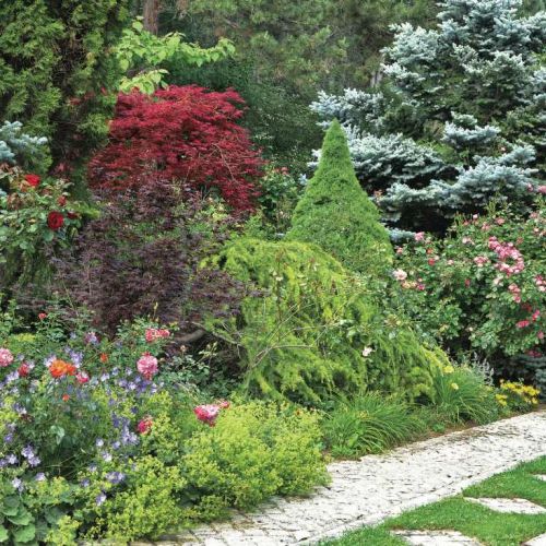 Jaskrawobłękitne plamki koloru wśród zieleni to ostróżki ‘Blauer Zwerg’.