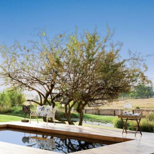 Basen otoczony drewnem. Rezydencja nad stawem