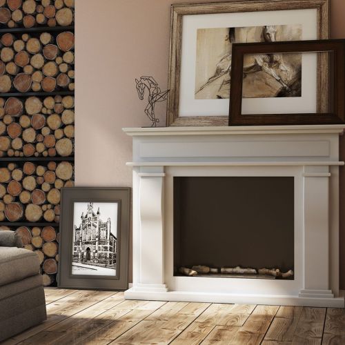 Biokominki portalowe - alternatywa dla kominków opalanych drewnem