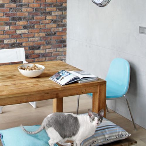 Błękit, cegła i drewno. Loft z kotami