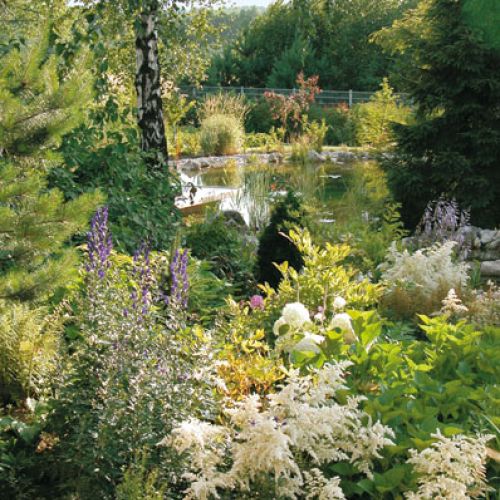 Bujna zieleń nad stawem. Dom z elewacją z wapienia