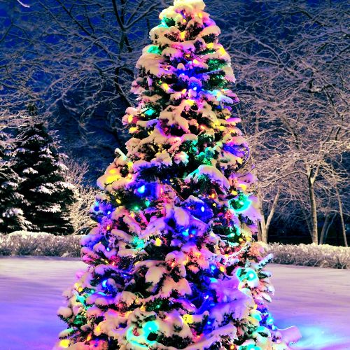 Jeśli na podwórzu ubraliśmy choinkę - w domu wystarczą małe stroiki!