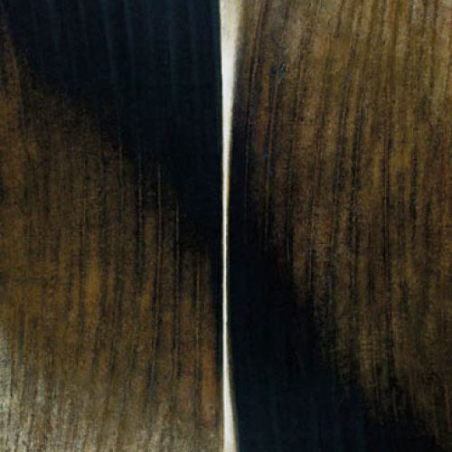 CXCIV , 1965 r., S. Gierowski, REMPEX