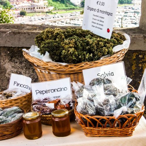 Czystek: właściwości, zastosowanie, opinie