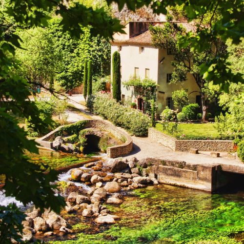 Czystek: właściwości, zastosowanie, opinie