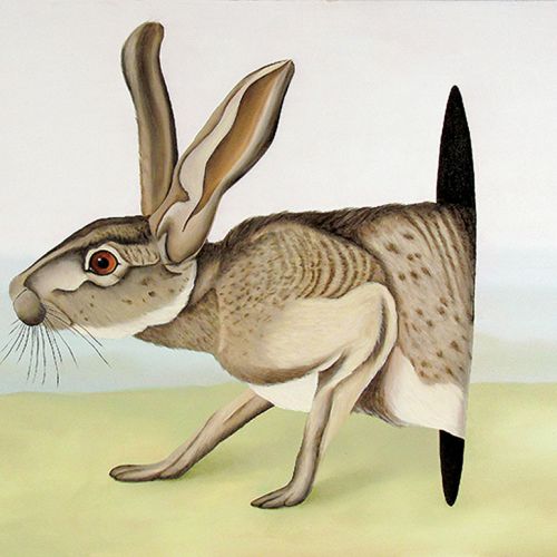 Dawid Czycz Bez tytułu , 2014 r. Gabinet osobliwości