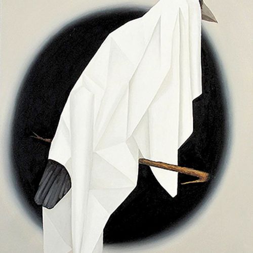 Dawid Czycz Bez tytułu , 2014 r. Gabinet osobliwości