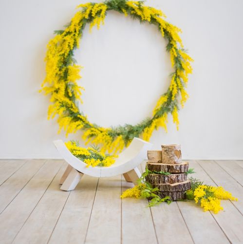 żółte kwiaty nawłoć pospolita