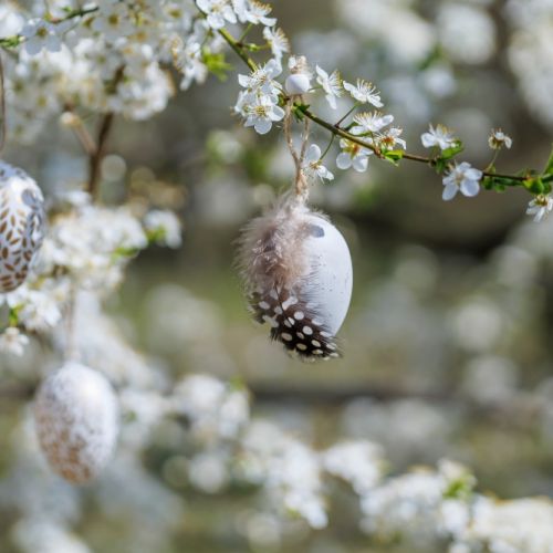 pisanki jajka wielkanocne do ogrodu