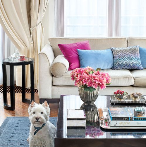 Do zdjęcia pozuje terier Eskort. Apartament w stylu art déco