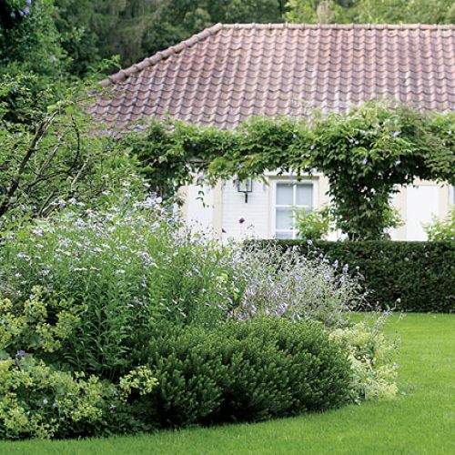 Dom ukryty wśród zieleni. Ogród w lesie