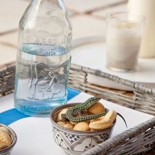 Dom letni w stylu śródziemnomorskim