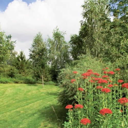 Dom w stylu wiejsko-szwedzko-francusko-angielskim – wszystko opiera się tu na pomyśle.