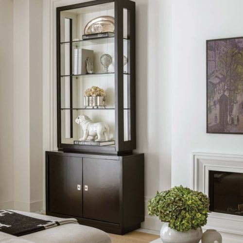 czarne witryny w salonie