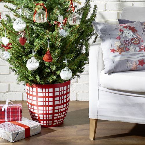 Donica może także posłużyć jako osłonka, gdy kupimy choinkę od razu w doniczce (mniejszej)