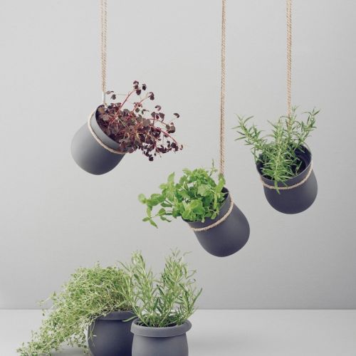 samopodlewające się doniczki do ziół