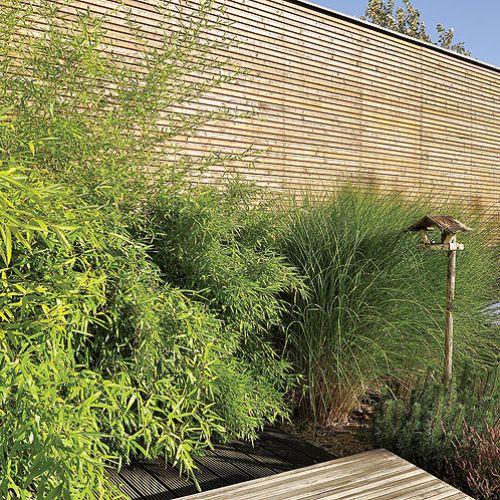 Drewno i zieleń. Pióropusze traw