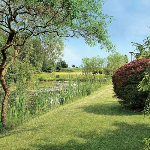 Duży staw rybny. Ogród jak z greckiej pocztówki