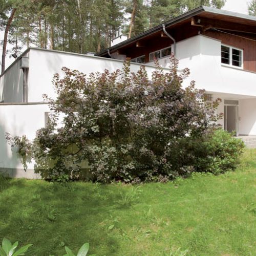 Działka, na której stoi dom, była jedną z dwóch, jakie Maja obejrzała. - Zachwyciła mnie cisza, bliskość lasu i