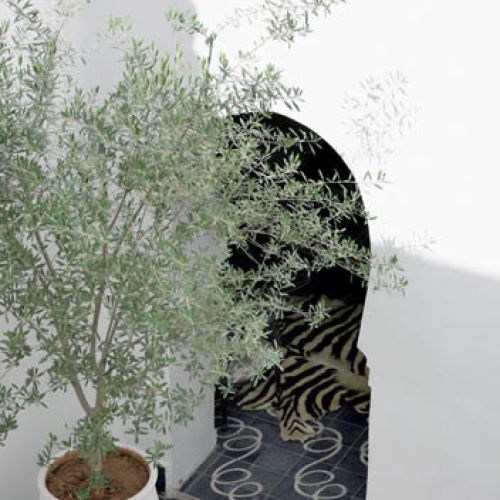 Dziedziniec przez cały dzień tonie w słońcu.