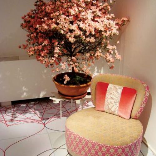 Edward van Vliet- Kolekcja Sushi, Moroso