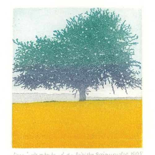 Elżbieta Bocianowska. Pod wspólnym dachem