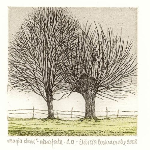 Elżbieta Bocianowska. Pod wspólnym dachem