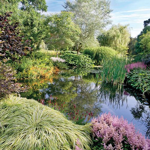 Feeria barw i miks zapachów. Longstock Park: jak w różanej mgle