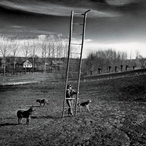 Fotografia Tomasza Tomaszewskiego. Sztuka patrzenia