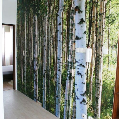 Fototapeta ze zdjęciem lasu. Jak urządzić wąski przedpokój?