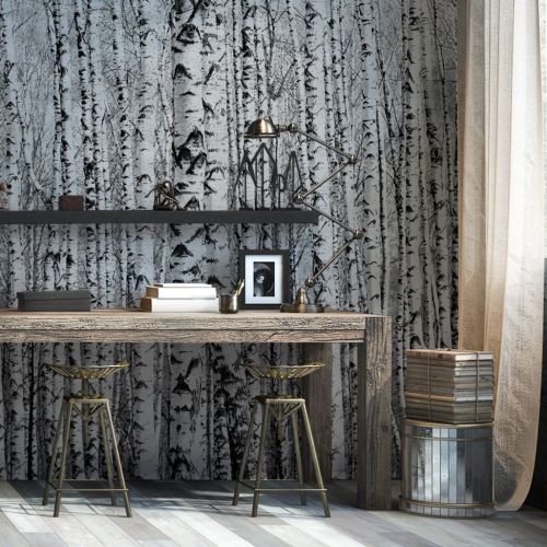 Fototapeta z brzozami, czyli nowe właściwości znanego drzewa