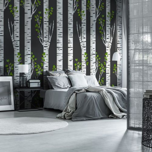 Fototapeta z brzozami, czyli nowe właściwości znanego drzewa