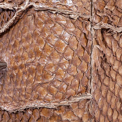 Fragment komody Piraruku. Królestwo skóry