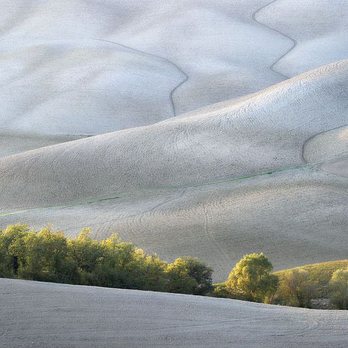 Zdjęcia Marcina Sochy