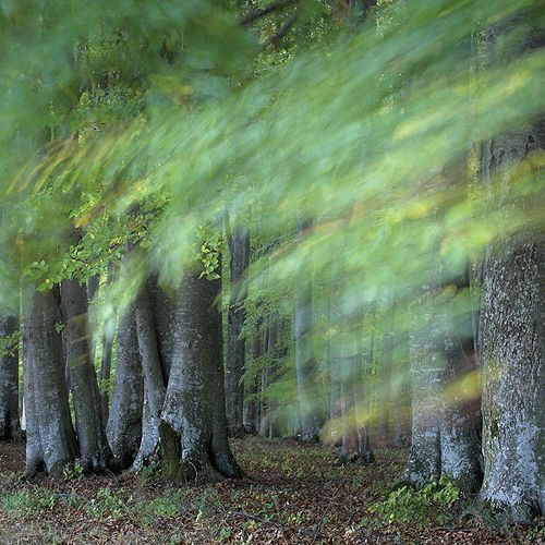 Zdjęcia Marcina Sochy