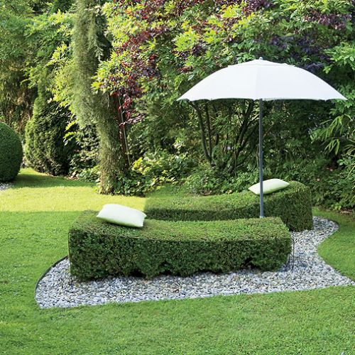 Gęste krzewy uformowane tak, że spokojnie można się na nich położyć.