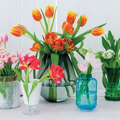 Greenery: Pantone kolor roku 2017