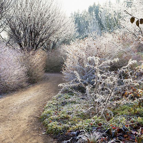 Anglesey Abbey w zimowej szacie