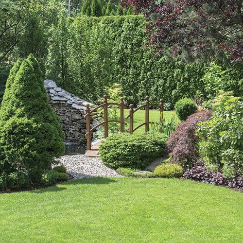 Hodowlane krwawniki, jeżówki, a tłem są, jak tutaj, żywopłoty grabowe i cisowe przypominające kaskady.