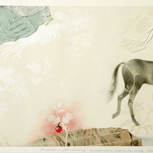 Obrazkowe książki Chmielewskiej