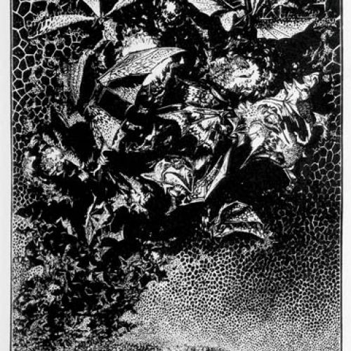 Improwizacja dla Grażynki V , 1966 r., NAUTILUS