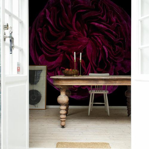 Isabelle McAllister. Co potrafi tapeta